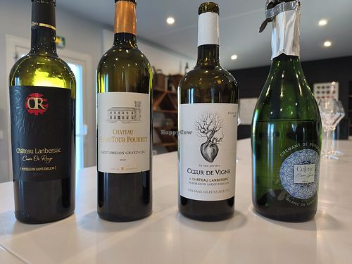 Vegan, natural and organic wines at Château Ambe Tour Pourret in Nouvelle-aquitaine