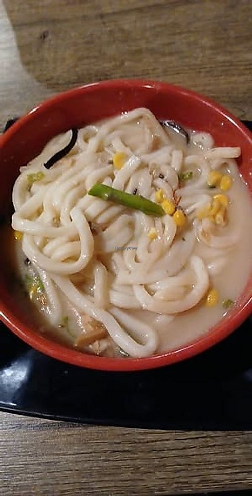 vegan tonkatsu ramen with udon noodles at Kyushu Ramen Bar Bethel Rd in Columbus