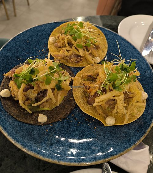 Tacos vegetarianos deliciosos (la salsa no sé si es vegana) at Baroca Sabor Ancestral 🍃 - Rooftop in Bolívar
