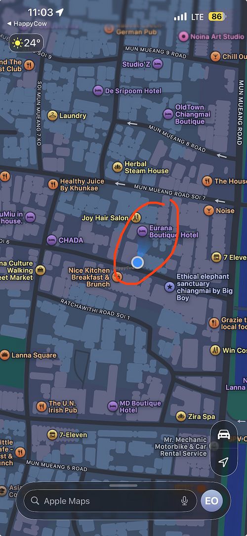   at Ming Kwan Vegetarian Restaurant in Chiang Mai