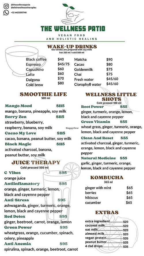  at The Wellness Patio in Puerto Vallarta