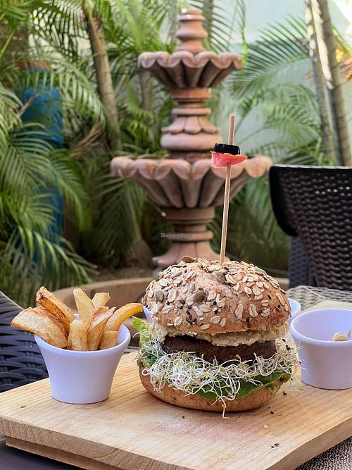  at The Wellness Patio in Puerto Vallarta