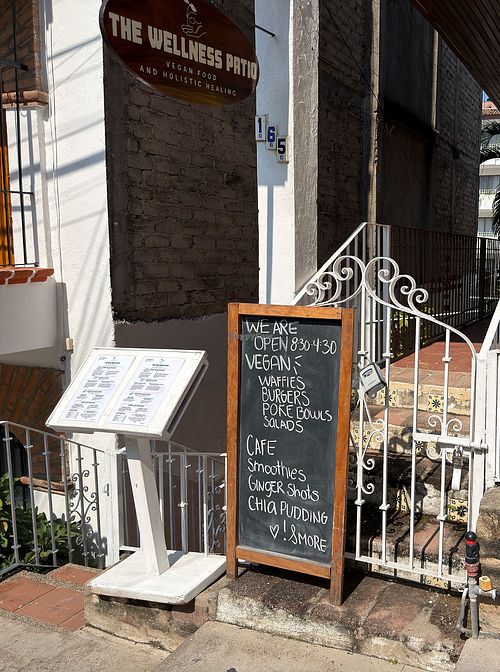  at The Wellness Patio in Puerto Vallarta