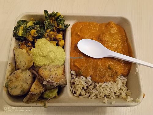 The Large Hot Meal option: hot main and brown rice on the right and two cold salads on the left. A spoon of hummus as a bonus! at Revive Cafe - Wyndham St in Auckland