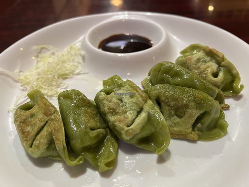 Pan fried vegetable gyoza appetizerr  at Oishii in Jacksonville