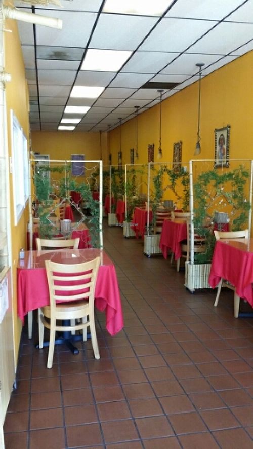 This is the adorable restaurant! at Abyssinia Restaurant in Santa Rosa