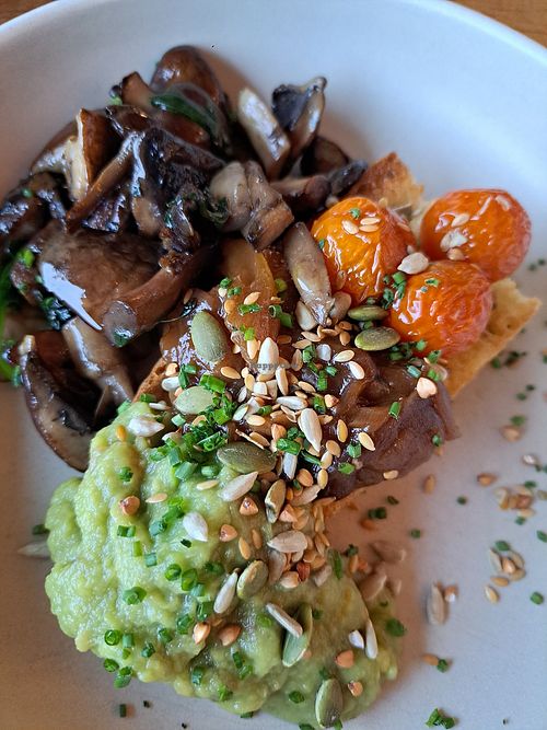 Avocado toast at Wild Goose in Scotland