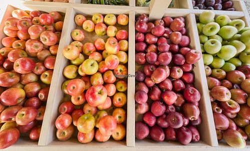   at Faith in Food in Annapolis