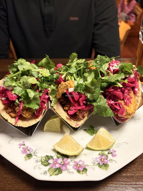 Oyster mushroom tacos   at People of Real Narnia in Poznan