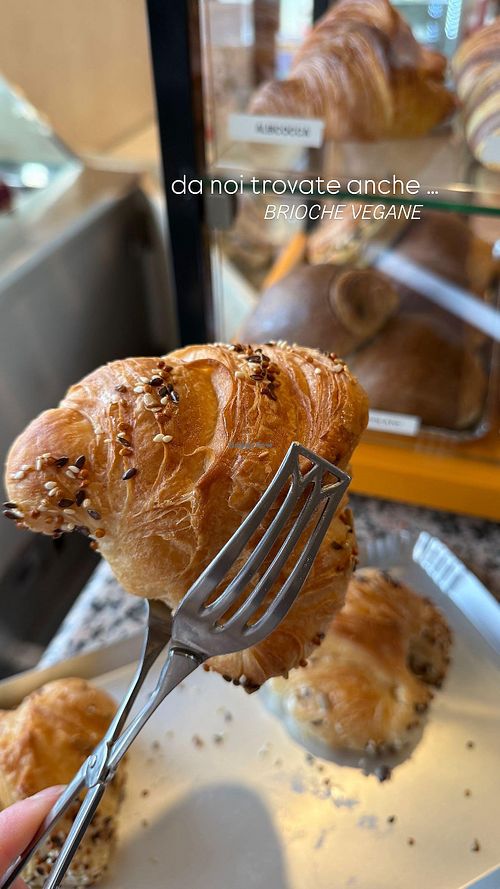 Brioche vegane at Dolce Pensiero - Pasticceria e caffetteria in Arluno