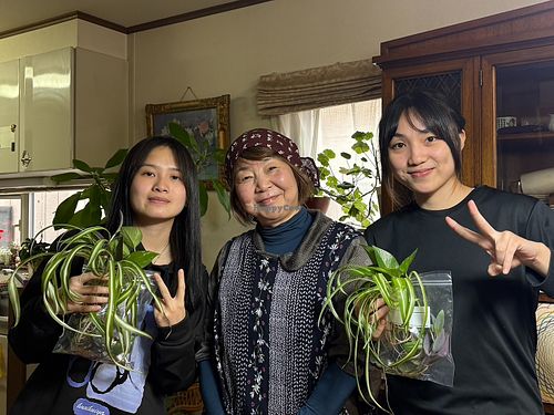 A warm group moment after cooking traditional regional Japanese dishes—enjoy the friendly, home-like atmosphere with locals. at BASAMA's Kitchen in Tsuruta