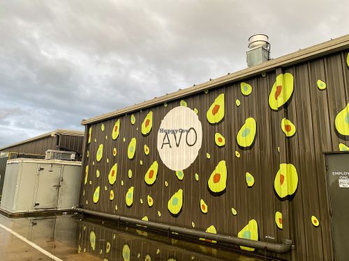Outside at Avo in Nashville