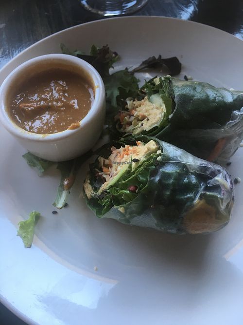 kimchi Rolls at Avo in Nashville