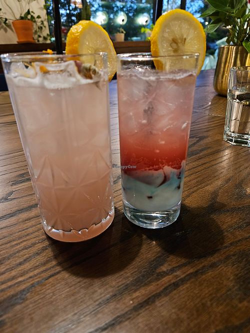 Pretty drinks at Avo in Nashville