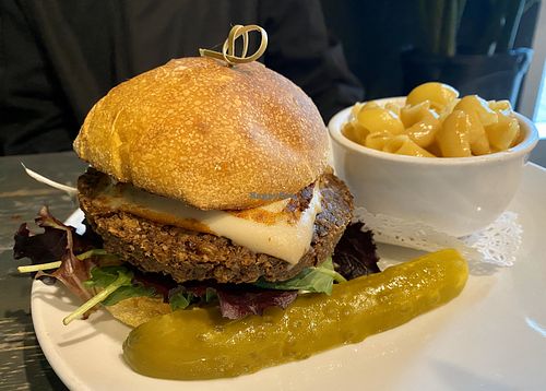 Walnut lentil burger at Avo in Nashville