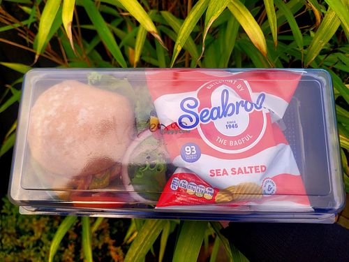 Vegan Catered Event Individual Box. at Llwy A Mwy in New York