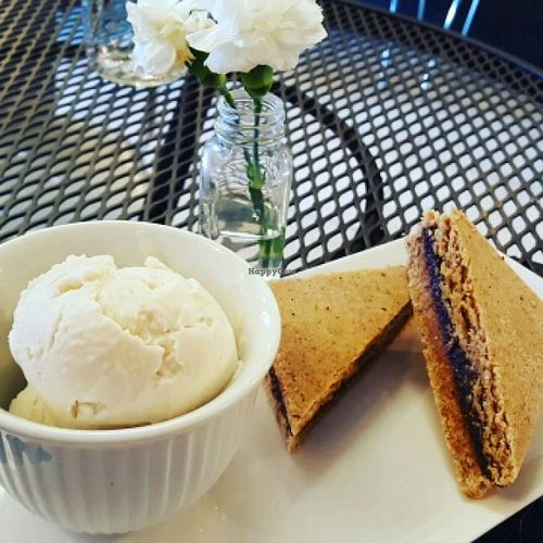 raw fig bars with coconut cashew ice cream  at RASA Kitchen + Juice Bar in Santa Fe