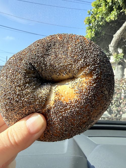 Bagel   at The Laundromat SF in San Francisco