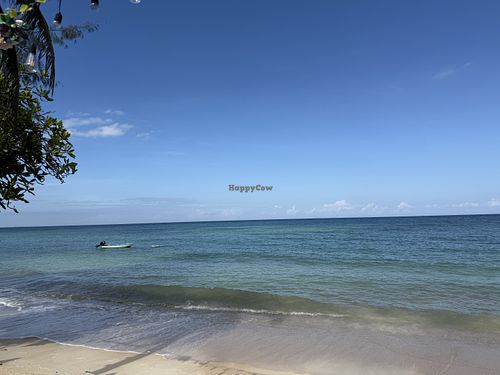 View  at Amara Restaurant & Bar in Chang Wat Surat Thani