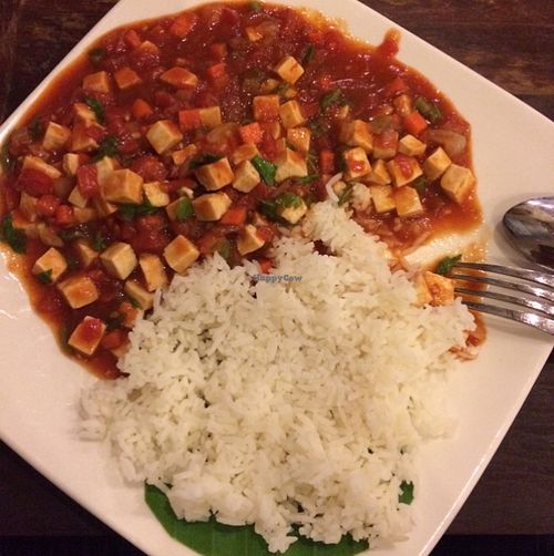 tofu and tomato and rice at Indigo Cafe in Luang Prabang