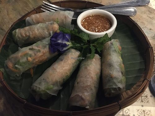 raw spring rolls at Indigo Cafe in Luang Prabang