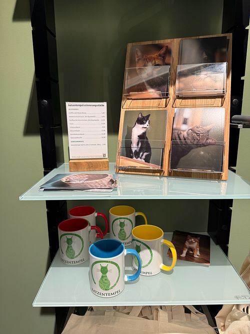 display at Katzentempel Hamburg Hafencity in Hamburg