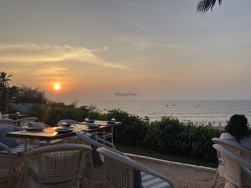 Restaurant at Olive Bar & Kitchen in Anjuna