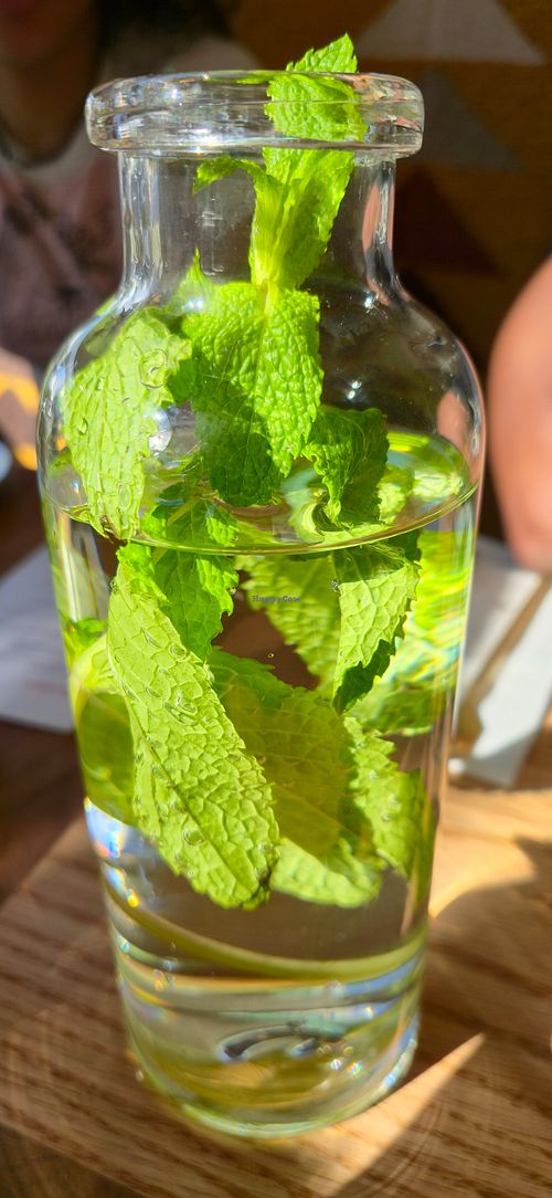 Mint Water at Jajaja Mexicana in Miami