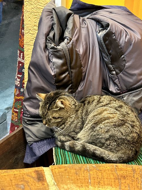 My table companionn #Veganuary at Vegan Community Kitchen in Istanbul