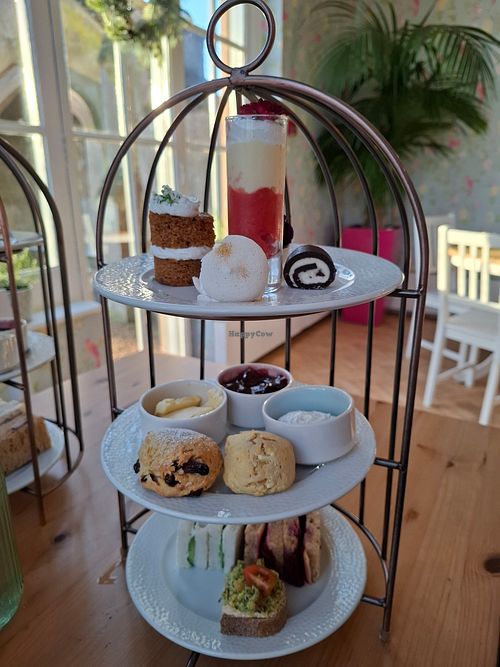 Vegan festive afternoon tea at The Orangery in Norwich