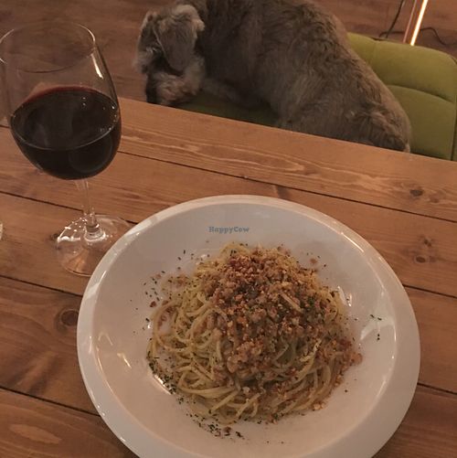 House pasta dish/house red/house puppy :) at Cafe VG in Naha