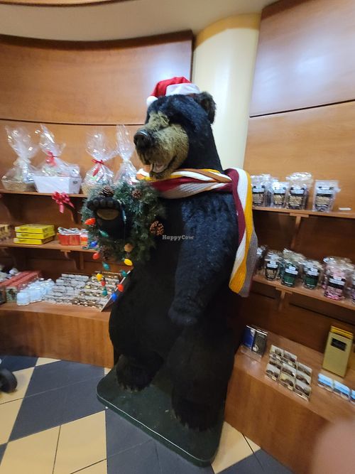 Interesting place at South Bend Chocolate Co in Indianapolis