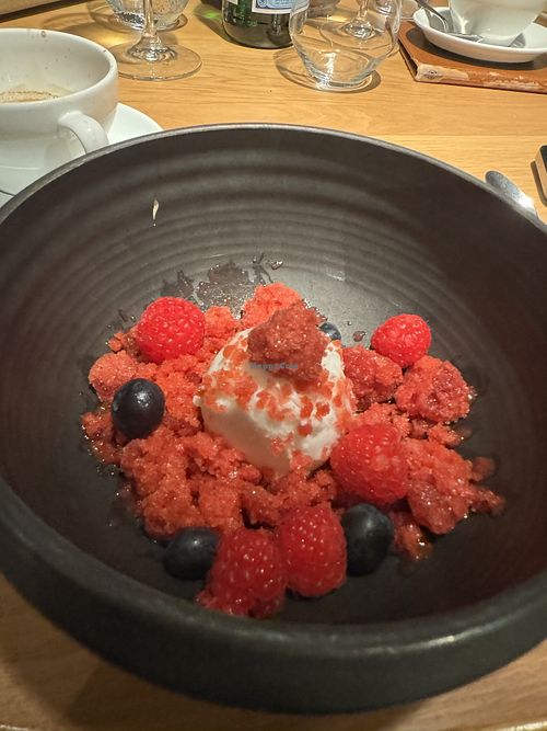Fruited and Sorbet  at Bussia in Amsterdam