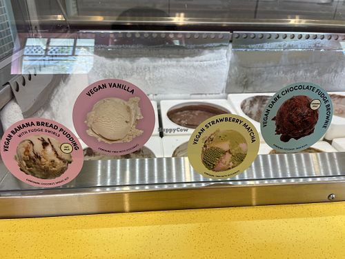 Vegan Selections  at Van Leeuwen Ice Cream in Delray Beach
