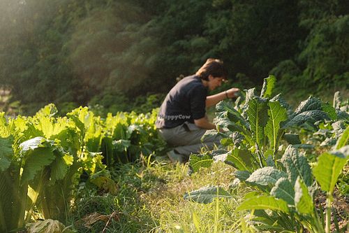  at Articolto | Gastronomia vegetale in Asti