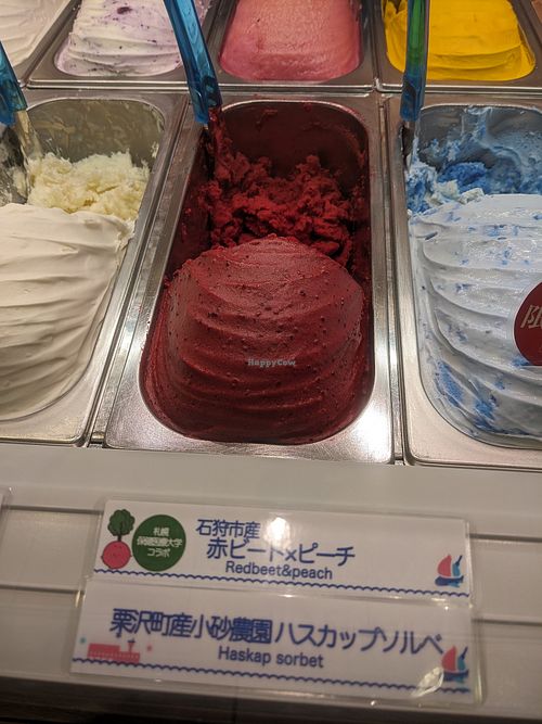 Sorbets at Gelato Lico Lico  in Hokkaido