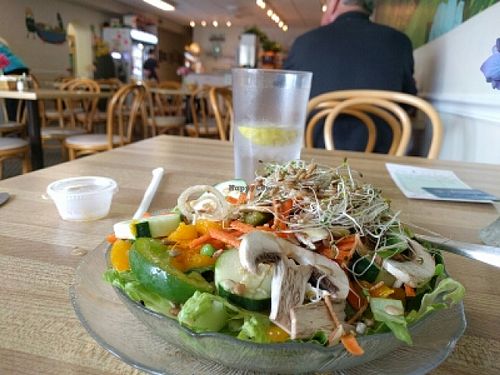 delicious oriental salad with sunflower seeds and a glass of water.  vegan of course. at Green Cuisine Restaurant in Stone Harbor