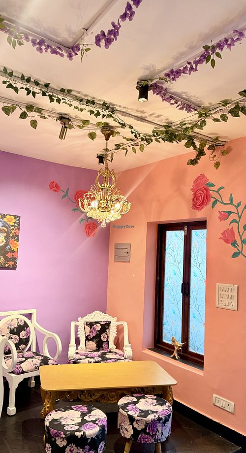  at The Green Table in Anjuna