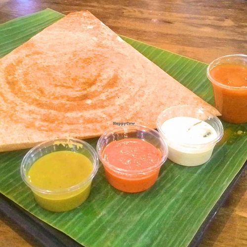 Masala Dosai  at Shree Ganga in Candolim