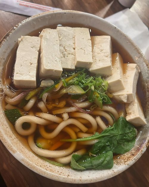 tofu udon   at SUSHI & MORE in Alameda