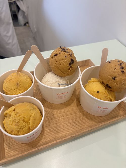 Vegan ice veas  at Vechill in Nagano