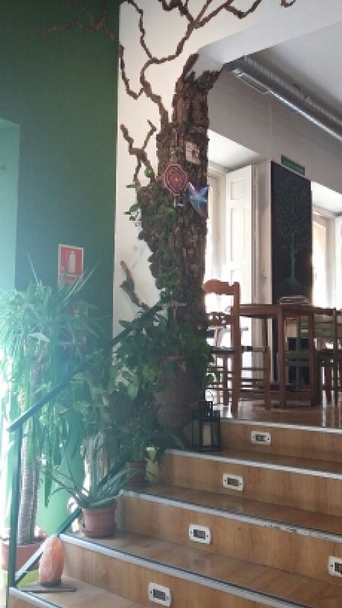 beautiful decor at Tiyoweh La Quietud in Madrid