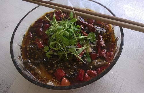 Super delicious Maitake in Oil (maitake mushrooms, chili, cucumber, napa cabbage, and rice noodles) at Green Mix - Dagu Rd in Shanghai