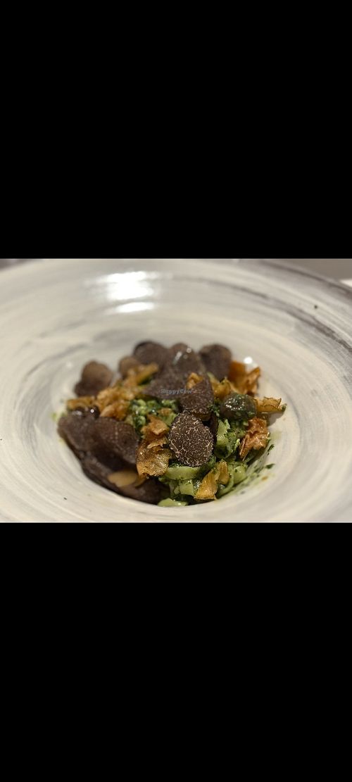 Vegan tasting menu available if you email ahead of time. at Esmé in Chicago