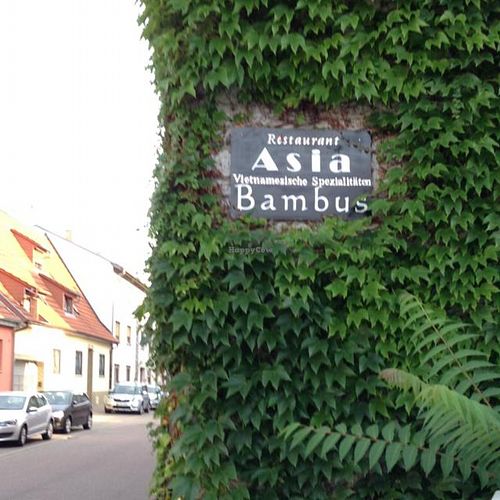 Outside at Asia Bambus in Walldorf