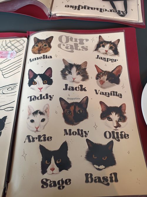 Cats at Whiskers & Cream Cat Cafe London in London