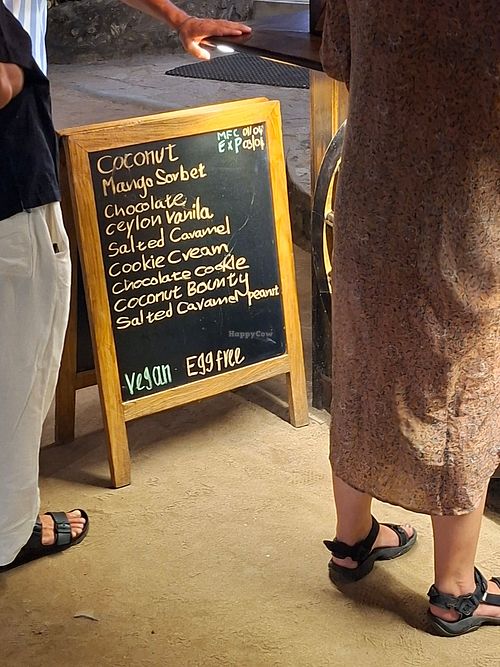 flavours at Wafflecreamery Vegan Gelato Ice Cream in Matara