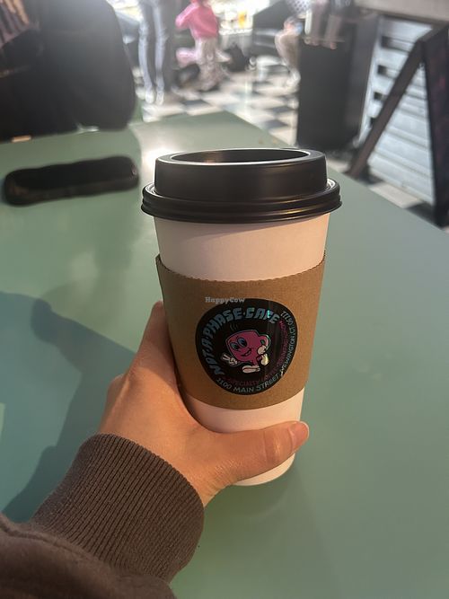   at Not A Phase Cafe in Newington
