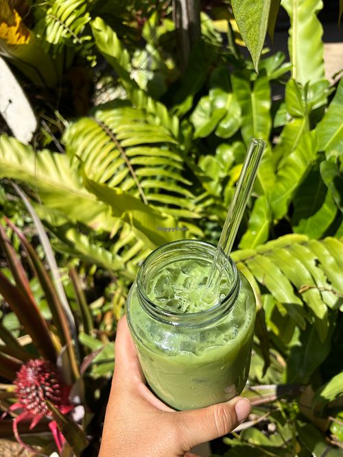 iced matcha latte at Plant Cafe in Ko Yao