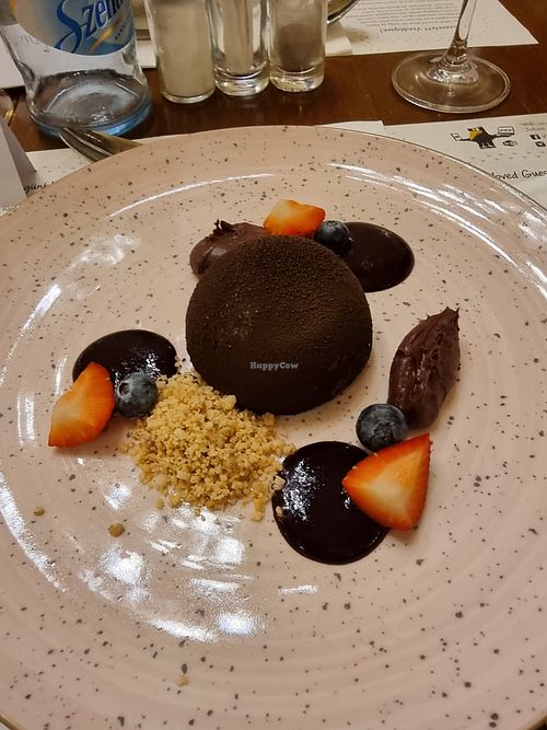 Chocolate mousse with fruits (vg) at Vígvarjú Étterem  in Budapest